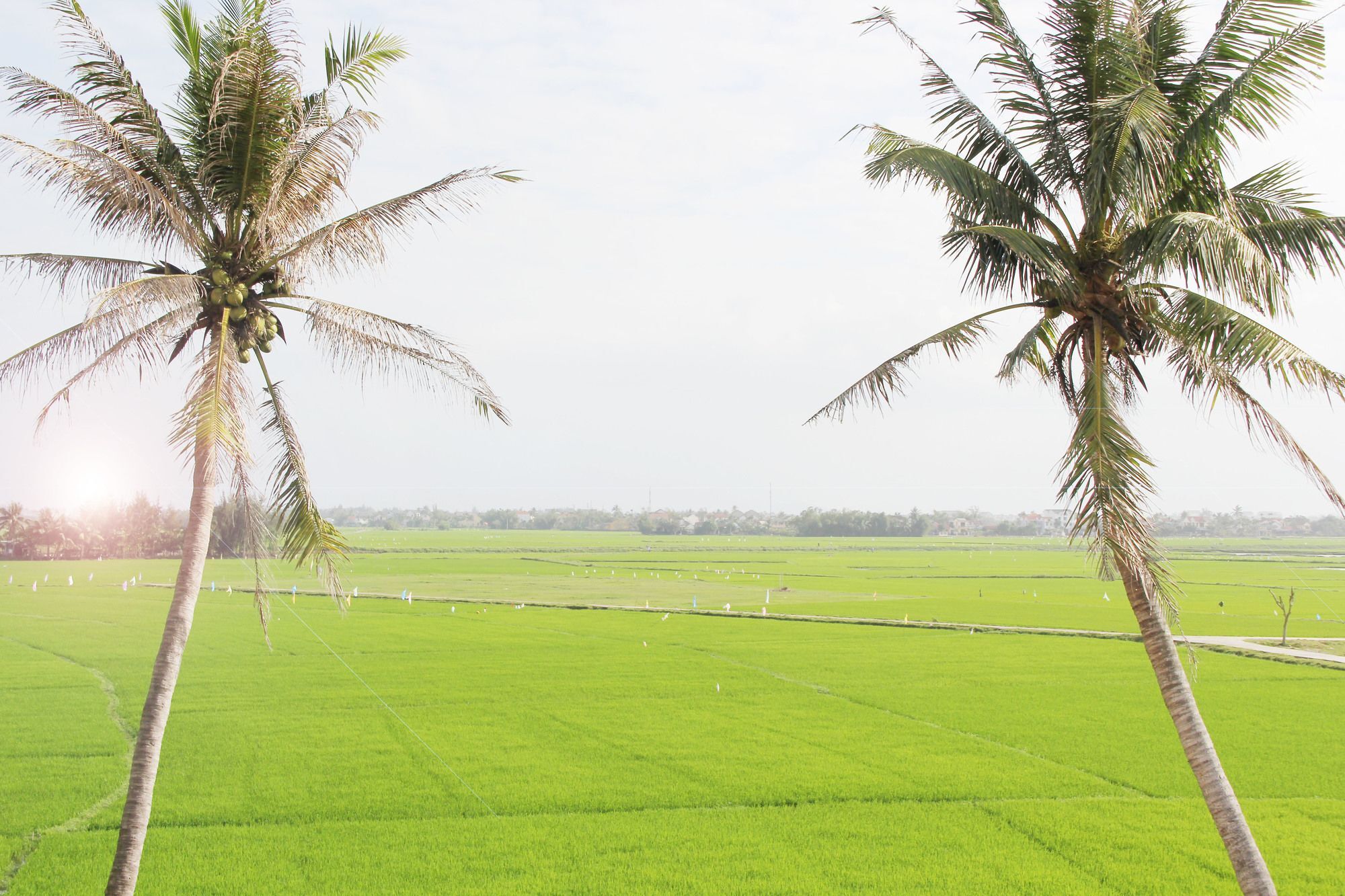 Hoi An Four Season Villa Eksteriør bilde